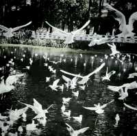 Dian Chi Lake strolling....