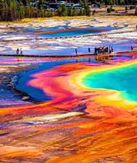 The most unique and magical amusement park on Earth - Yellowstone National Park.