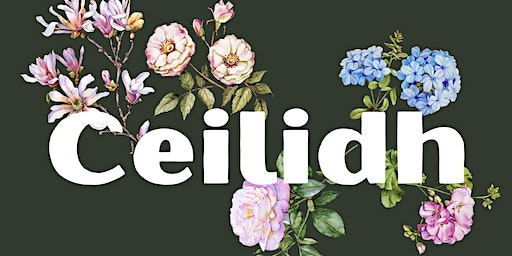 Spring Ceilidh | Clara Vale Village Hall