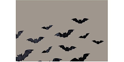 Horror Book Club: Bird Box | St. John Branch, Austin Public Library