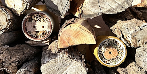 Solitary Bee House Building | 4210 N Campbell Ave
