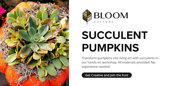 Succulent Pumpkin Workshop | Bloom Culture