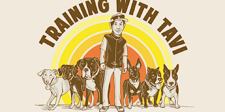 Creating the Steps to Success for Dog Training | Pet Food Express San Anselmo (Red Hill)