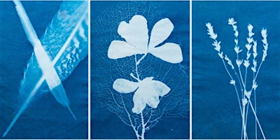 Cyanotype Workshop (Ages 18+) | Museum of Contemporary Art Arlington