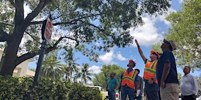 BASIC Tree Trimmer Certification - SPANISH | This class is at UF/IFAS Extension Auditorium.