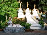 วัดถ้ำเสือ ชมวิวเมืองกระบี่ บันไดสูง 1,237 ขั้น
