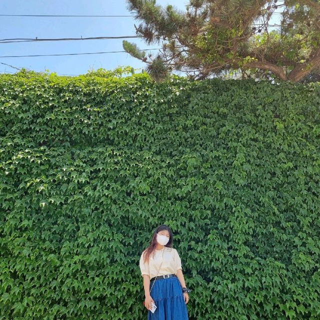 맛집과 즐기는 소박한 제주 해변