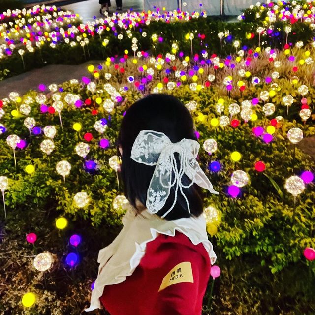 🎄 「怪誕森林奇遇記」✨