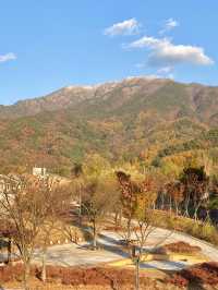 원주 가을산, 겨울산