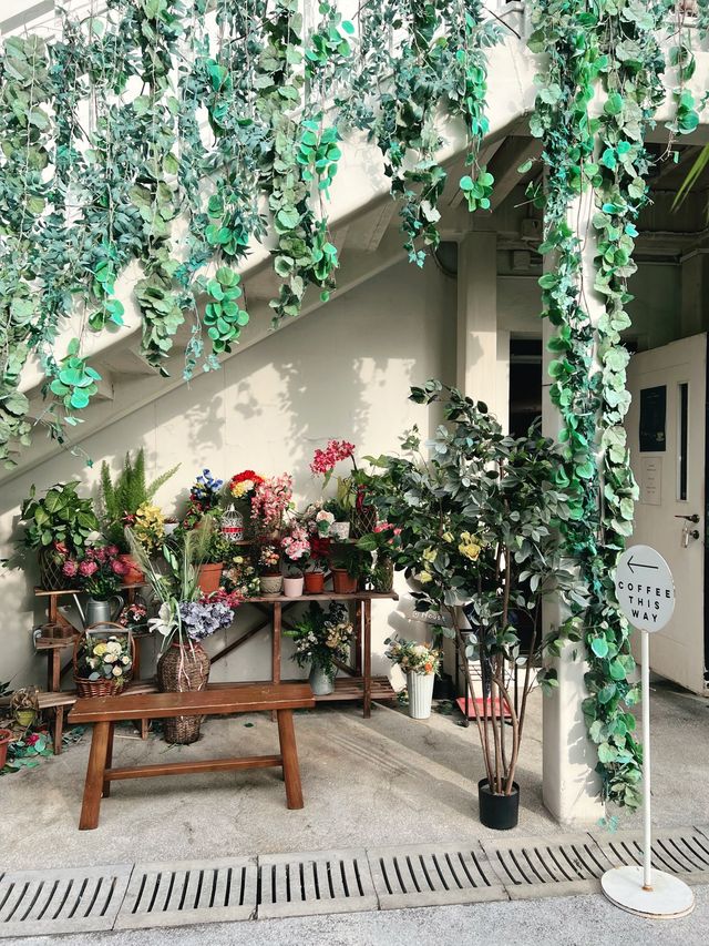 🌺饒館盡賞花中情🌸🥰
