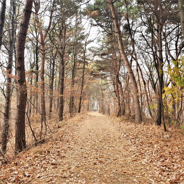 일출 멋진 용인 산, 석성산!