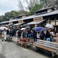 まるで名古屋城の城下町【金シャチ横丁】✨