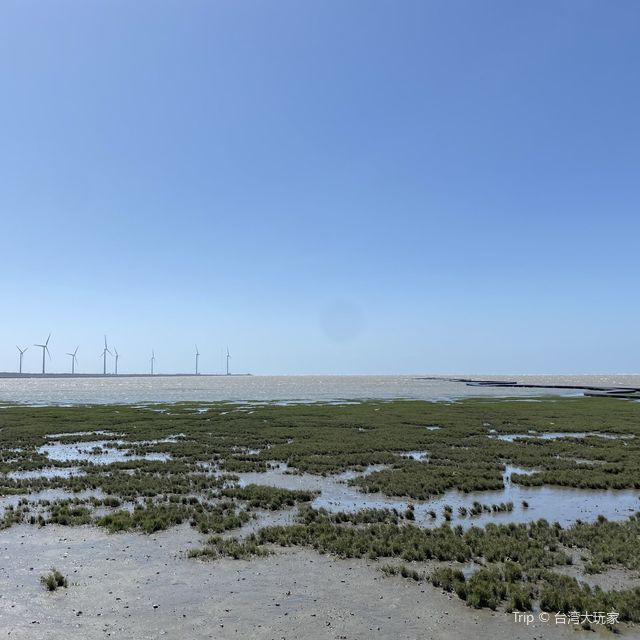 高美濕地｜巧遇漲潮，木棧橋差點消失