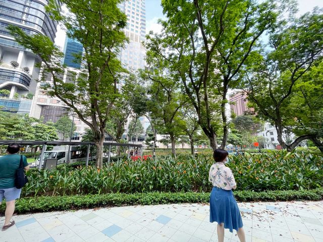 Greenery amidst the concrete jungle