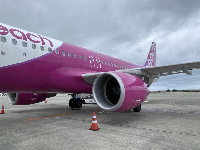南国ムード漂う那覇空港