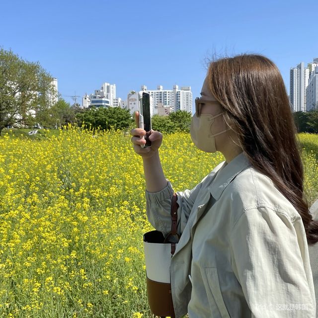 봄을 느끼고 싶다면 이 곳으로~ 온천천시민공원