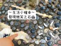 大自然遊樂場 