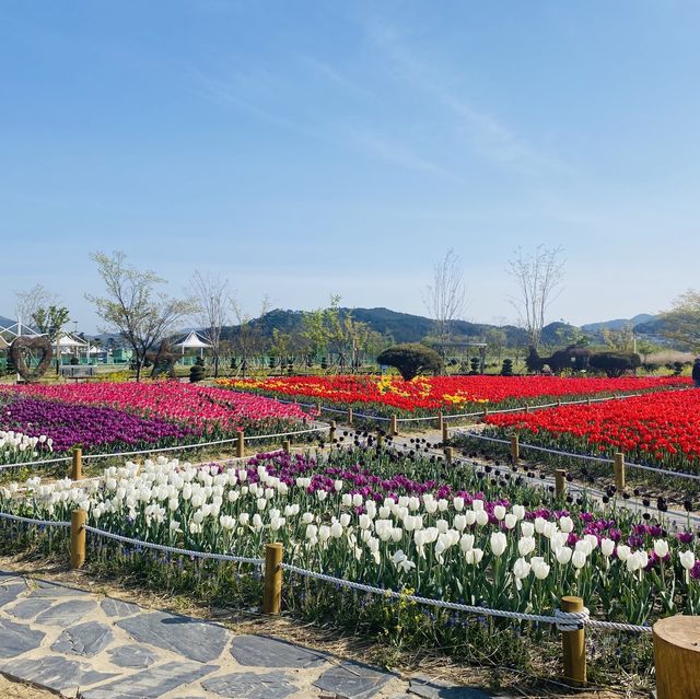 꽃순이들이라면 무조건 가야하는 필수코스🥰🌸
