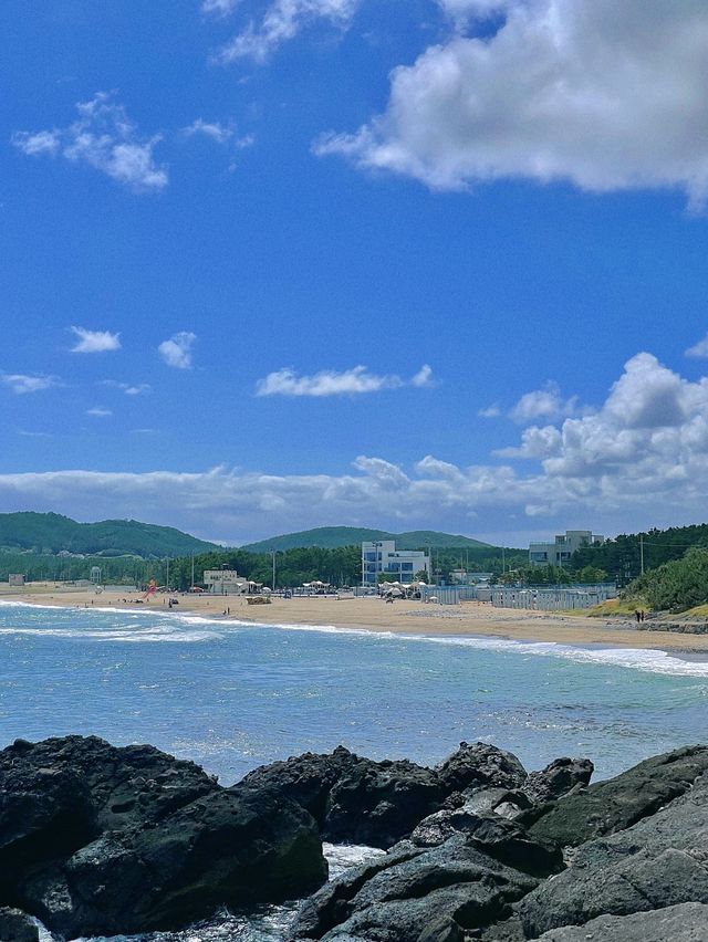 하와이 오션뷰에 온 듯한 포항 카페 1703