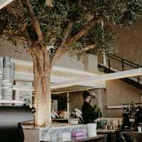 Must Try Cafe at Medina, Saudi Arabia