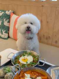 잠실에서 차로 15분! 하남 애견운동장 펖파크🐶