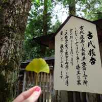 宮崎的神話之鄉