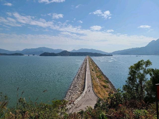 三項鐵人大尾篤🚴‍♀️🚣‍♀️
