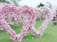 信芯園賞花好去處