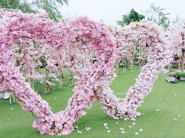 信芯園賞花好去處