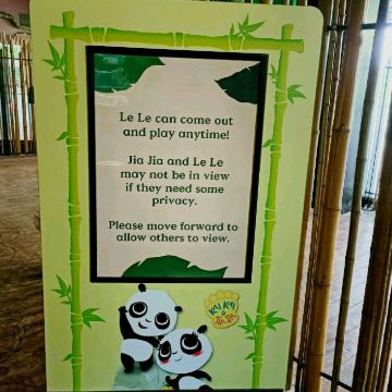 Giant Panda Forest 🐼 | Trip.com Singapore