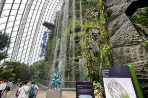 The World Tallest Indoor Waterfall