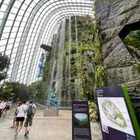 The World Tallest Indoor Waterfall