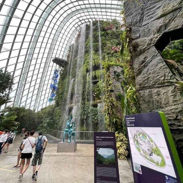 The World Tallest Indoor Waterfall