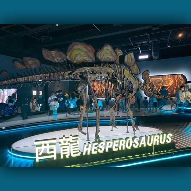 恐龍🦕🦖出沒注意⚠️
