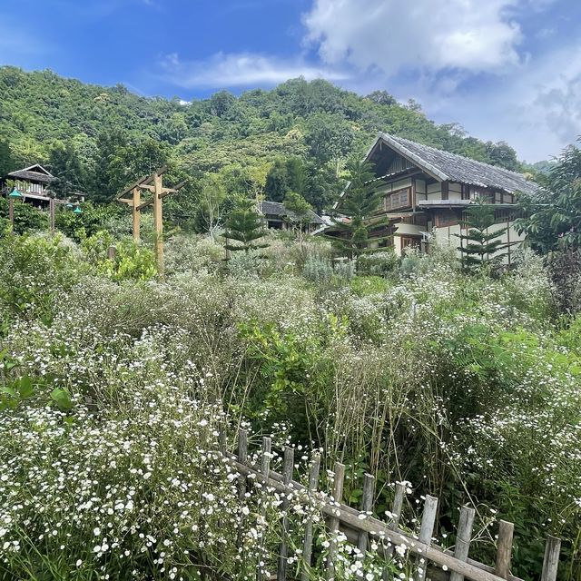 清幽小山上之民宿