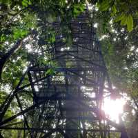 Lamington National Park Trip! 