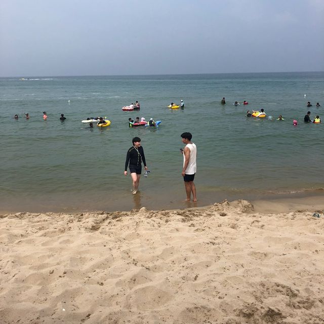 강원도 양양 핫한 바다_서피비치