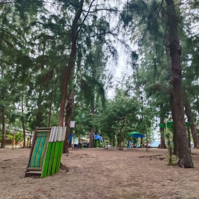 สวนสนประดิพัทธ์ หัวหิน