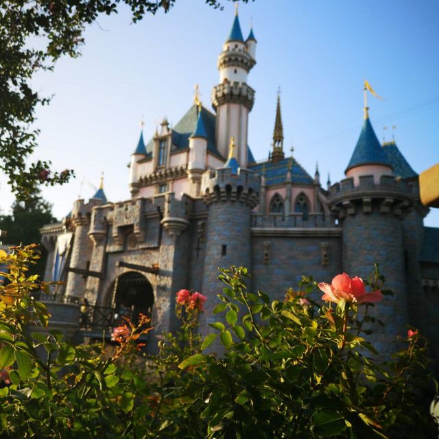 I ❤️Disney 