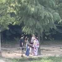 流水響水塘-行山新手也能輕鬆完成的路線