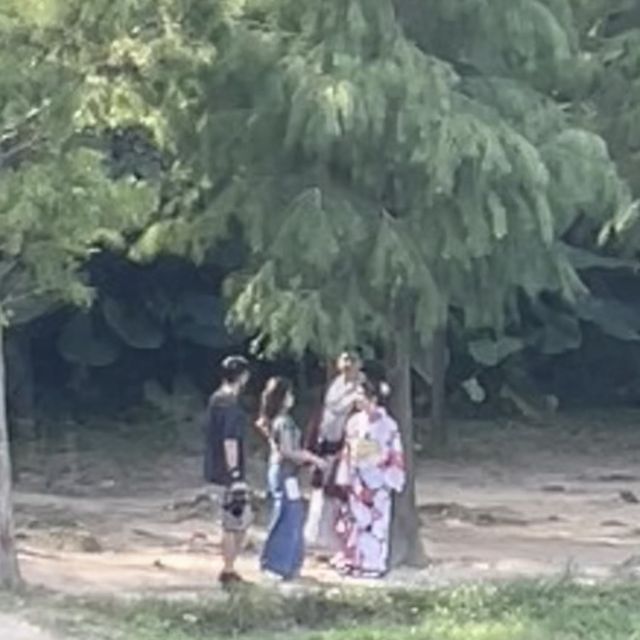 流水響水塘-行山新手也能輕鬆完成的路線