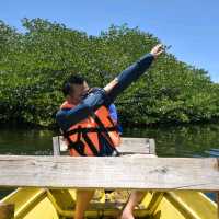 Great Santa Cruz Island (Pink Beach)