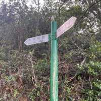 魔鬼山，探軍事古蹟維港靚景，有特色的歷史行山路線