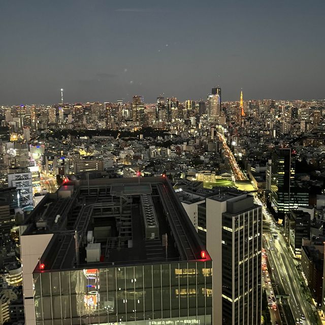 【東京】渋谷から東京を見下ろす✨SHIBUYA SKY