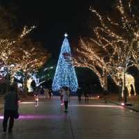 【天神中央公園】クリスマスイルミネーション