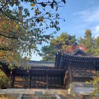 [서울여행] 청와대 - 국민품으로