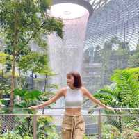 📍ก่อนกลับต้องแวะ Jewel Changi Airport! 