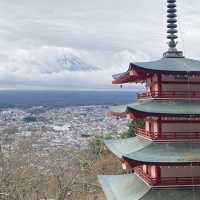 日本 最美的還是風景🍁🌼🗻
