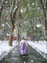제주에 눈이 내리면 제일 먼저 달려가야 할 곳☃️