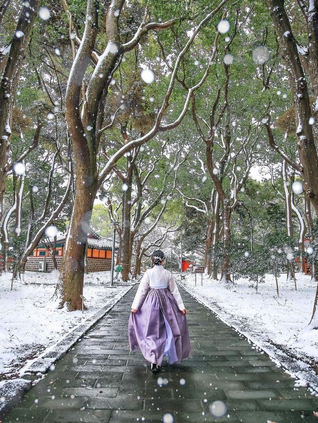 제주에 눈이 내리면 제일 먼저 달려가야 할 곳☃️